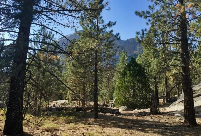 Experience Sonora, CA: Top Attractions and Activities to Explore